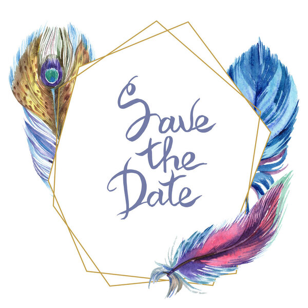 Красочные перья. Акварель птичье перо из крыла изолированы. Перо Aquarelle для фона, текстуры, обёртки, рамки или рамки. Рамка границы с сохранением знака даты
