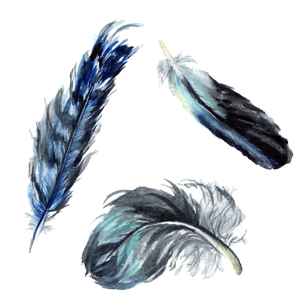 Black Feathers Watercolor Drawing Isolated Illustration Elements — Stock Photo, Image