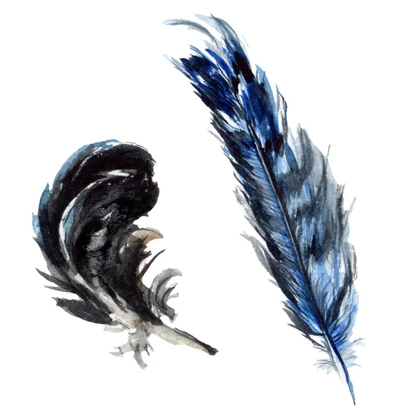 Black Feathers Watercolor Drawing Isolated Illustration Elements — Stock Photo, Image