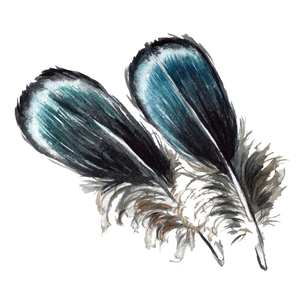 Plumas Negras Acuarela Dibujo Elementos Ilustración Aislados — Foto de Stock