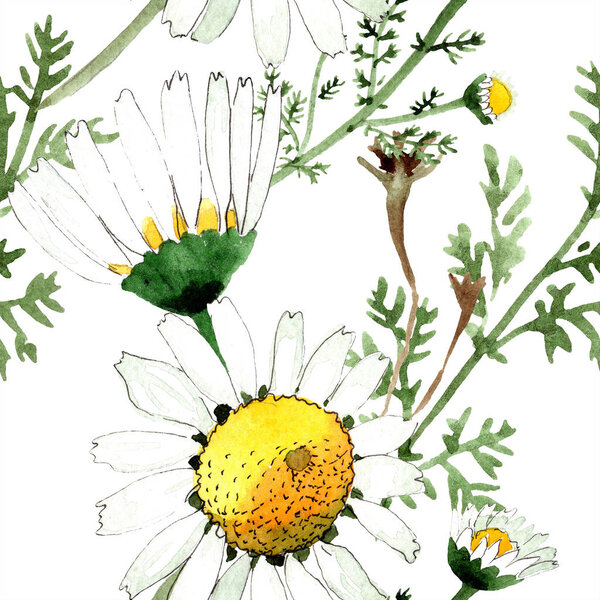 Wild spring Chamomile flowers. Watercolor illustration set. Watercolour drawing fashion aquarelle. Seamless background pattern. Fabric wallpaper print texture.