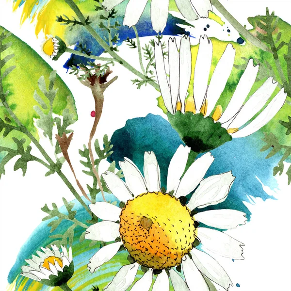 Vahşi bahar papatya çiçeği. Suluboya resim kümesi. Suluboya çizim moda aquarelle. Sorunsuz arka plan deseni. Kumaş duvar kağıdı yazdırma doku.