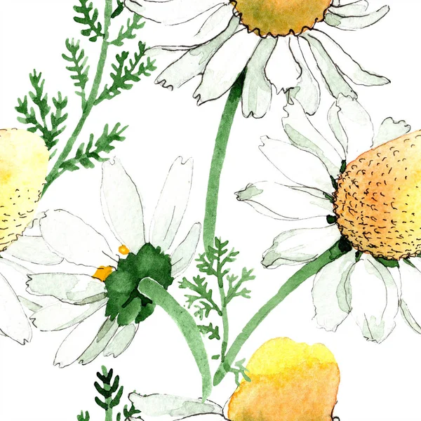 Vad Tavaszi Kamilla Virág Akvarell Illusztráció Készlet Akvarell Rajz Divat — Stock Fotó