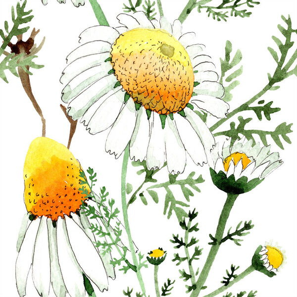 Wild spring Chamomile flowers. Watercolor illustration set. Watercolour drawing fashion aquarelle. Seamless background pattern. Fabric wallpaper print texture.