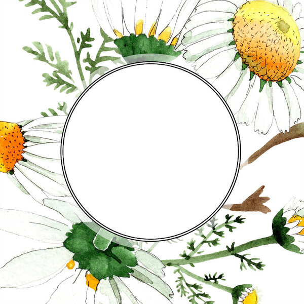 Дикая весна Ромашковые цветы. Набор акварельных фонов. Акварель акварель акварель изолирована. Граница рамы
