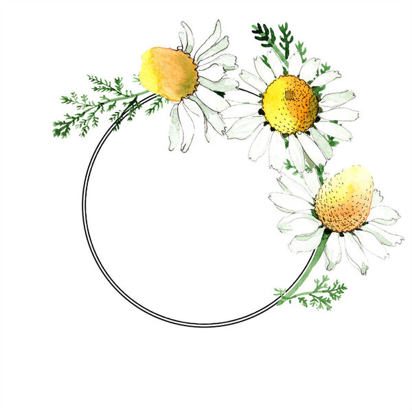Дикая весна Ромашковые цветы. Набор акварельных фонов. Акварель акварель акварель изолирована. Граница рамы
