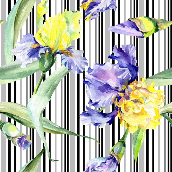 Lila Gul Iris Bakgrund Hand Dras Botaniska Blommor Akvarell Bakgrund — Stockfoto