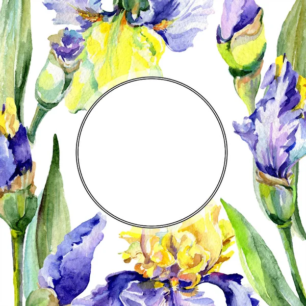 Frame Purple Yellow Irises Watercolor Background Illustration Set Flowers Watercolour — Stock Photo, Image