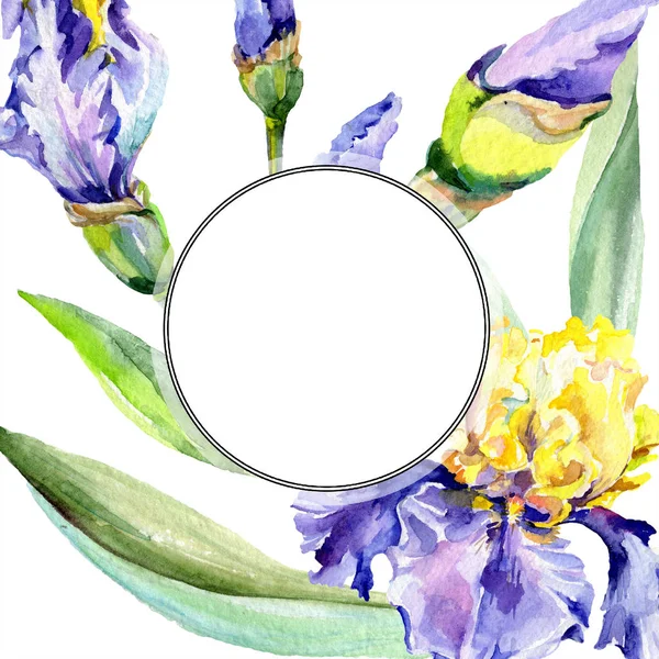 Frame Purple Yellow Irises Watercolor Background Illustration Set Flowers Watercolour — Stock Photo, Image