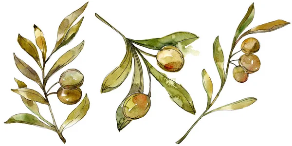 Green Olives Watercolor Background Watercolour Drawing Fashion Aquarelle Isolated Isolated — Stock Photo, Image