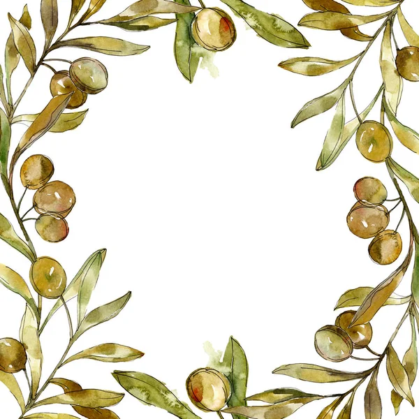 Verde Olive Acquerello Sfondo Illustrazione Set Acquerello Disegno Moda Acquerello — Foto Stock