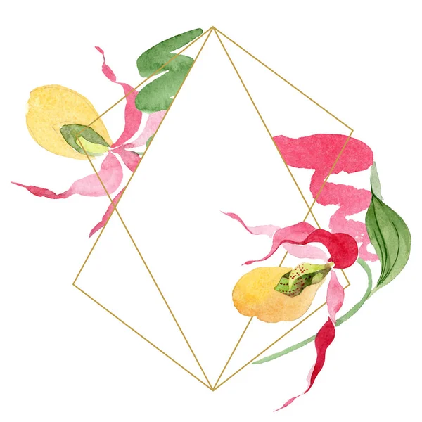 Lady slipper orchids watercolor frame illustration isolated on white with copy space — Stock Image Lady Slipper Orchids Watercolor Frame Illustration Isolated White Copy Space Stock Image