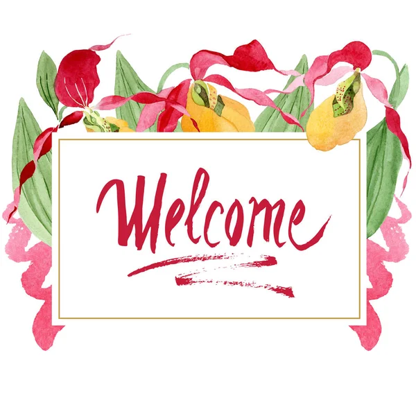 Lady slipper orchids watercolor frame illustration isolated on white with welcome lettering — Stock Image Lady Slipper Orchids Watercolor Frame Illustration Isolated White Welcome Lettering Royalty Free Stock Photos