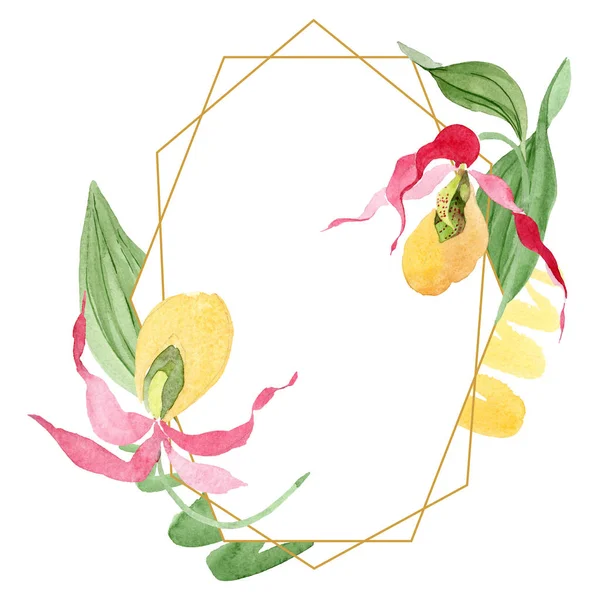 Lady slipper orchids watercolor frame illustration isolated on white with copy space — Stock Image Lady Slipper Orchids Watercolor Frame Illustration Isolated White Copy Space Stock Picture