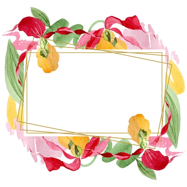 Lady slipper orchids watercolor frame illustration isolated on white with copy space — Stock Image Lady Slipper Orchids Watercolor Frame Illustration Isolated White Copy Space Royalty Free Stock Images