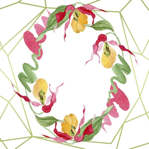 Lady slipper orchids watercolor frame illustration isolated on white with copy space — Stock Image Lady Slipper Orchids Watercolor Frame Illustration Isolated White Copy Space Royalty Free Stock Images