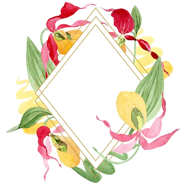 Lady slipper orchids watercolor frame illustration isolated on white with copy space — Stock Image Lady Slipper Orchids Watercolor Frame Illustration Isolated White Copy Space Stock Picture