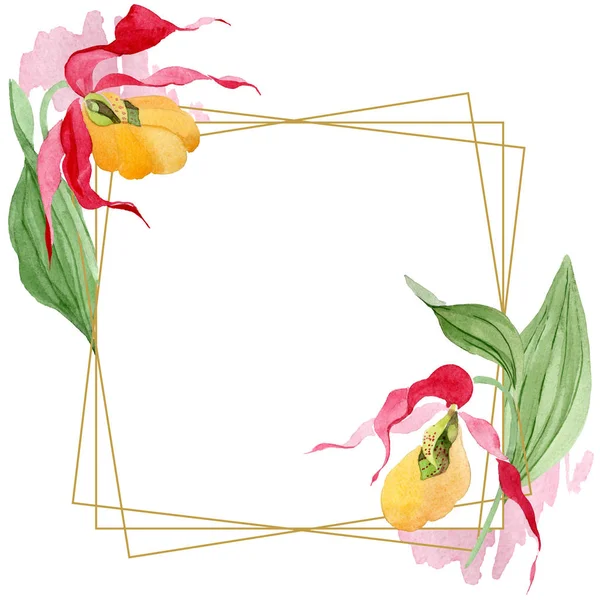 Lady slipper orchids watercolor frame illustration isolated on white with copy space — Stock Image Lady Slipper Orchids Watercolor Frame Illustration Isolated White Copy Space Stock Picture
