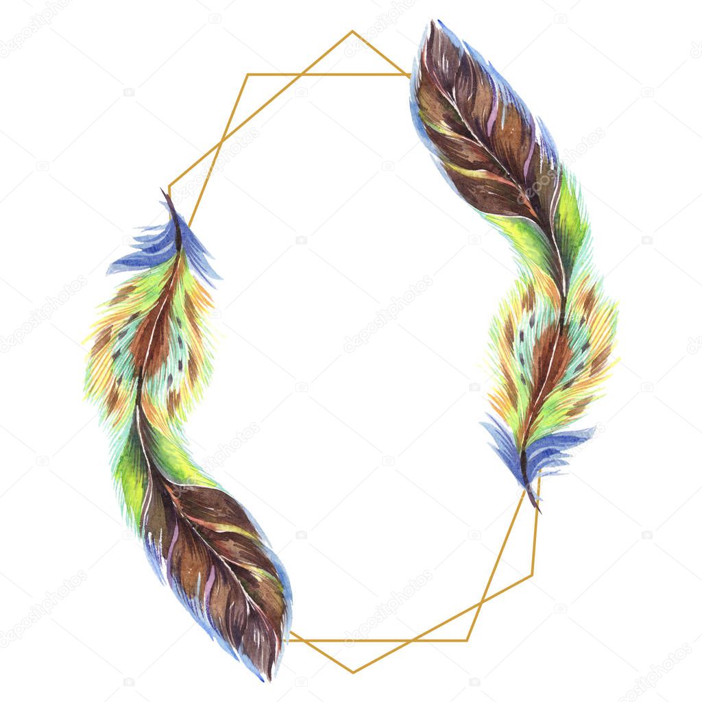 Colorful watercolor feathers isolated on white illustration. Frame border ornament with copy space.