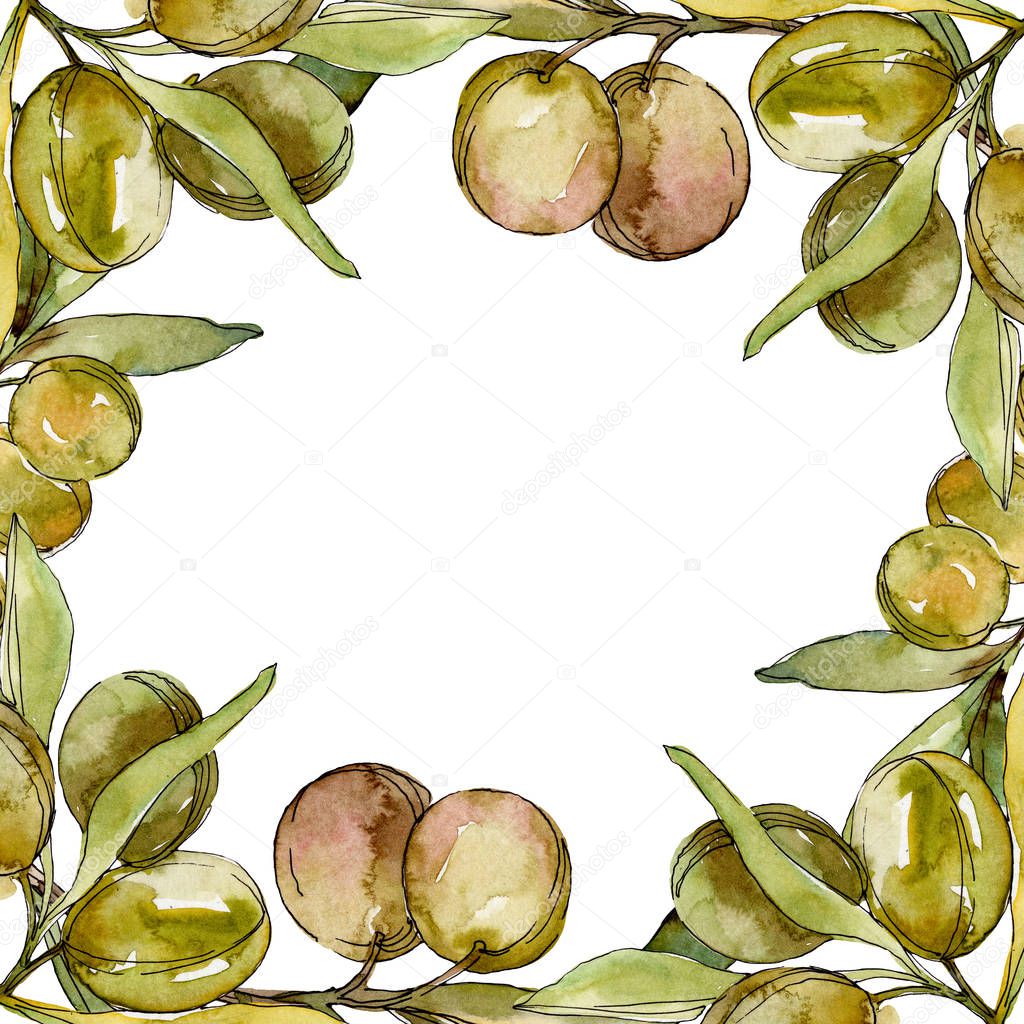 Frame with Green olives and leaves watercolor background illustration set. Watercolour drawing fashion aquarelle isolated. 