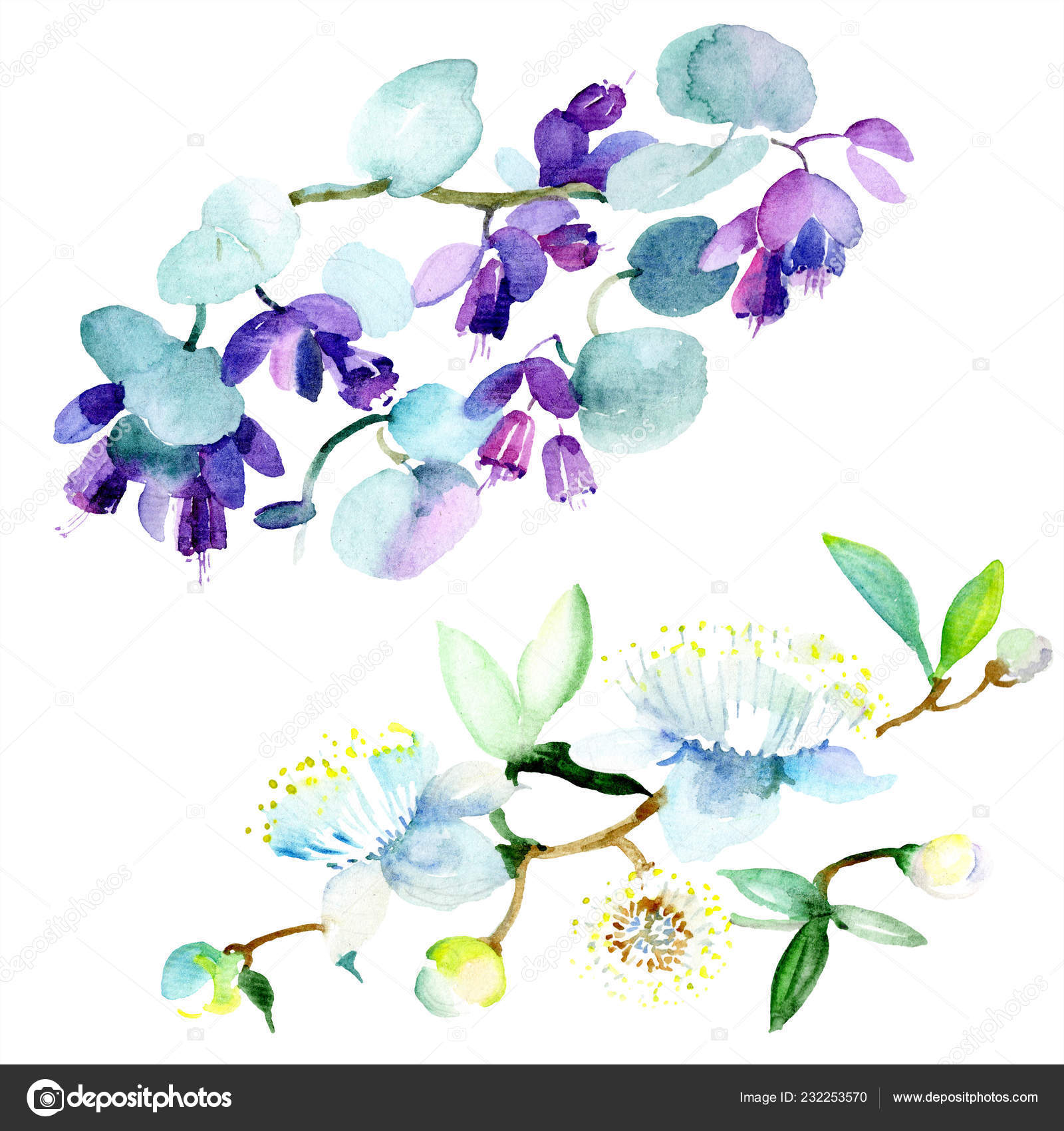 Bouquet Purple Flowers Watercolor Background Illustration Set Watercolour Drawing Fashion Stock Photo Image By C Andreyanush 232253570