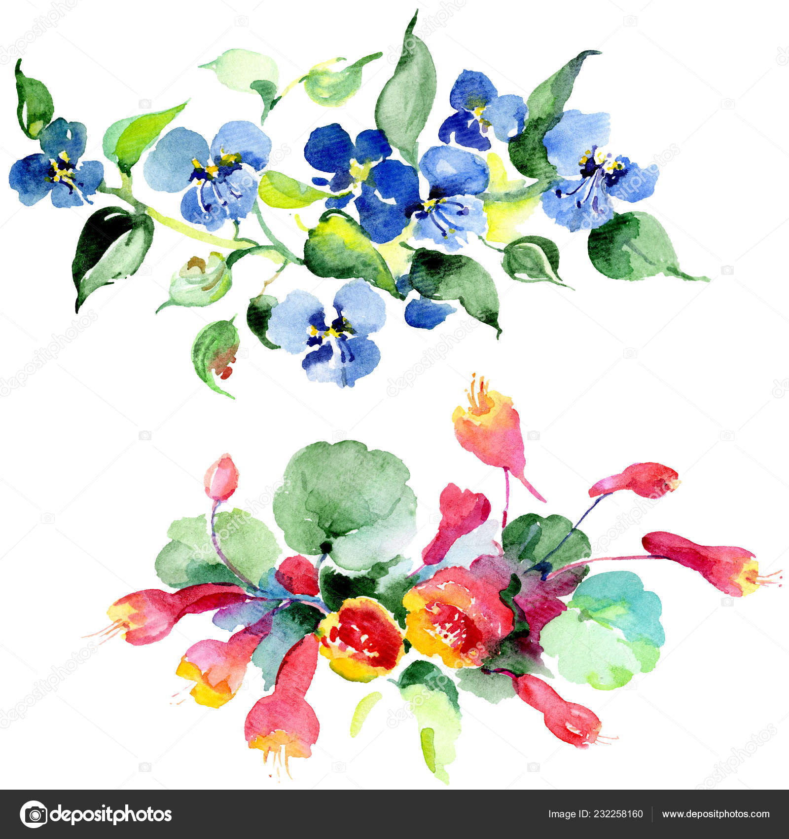 Bouquet Colorful Spring Flowers Watercolor Background Illustration Set  Watercolour Drawing Stock Photo by ©AndreYanush 232258160