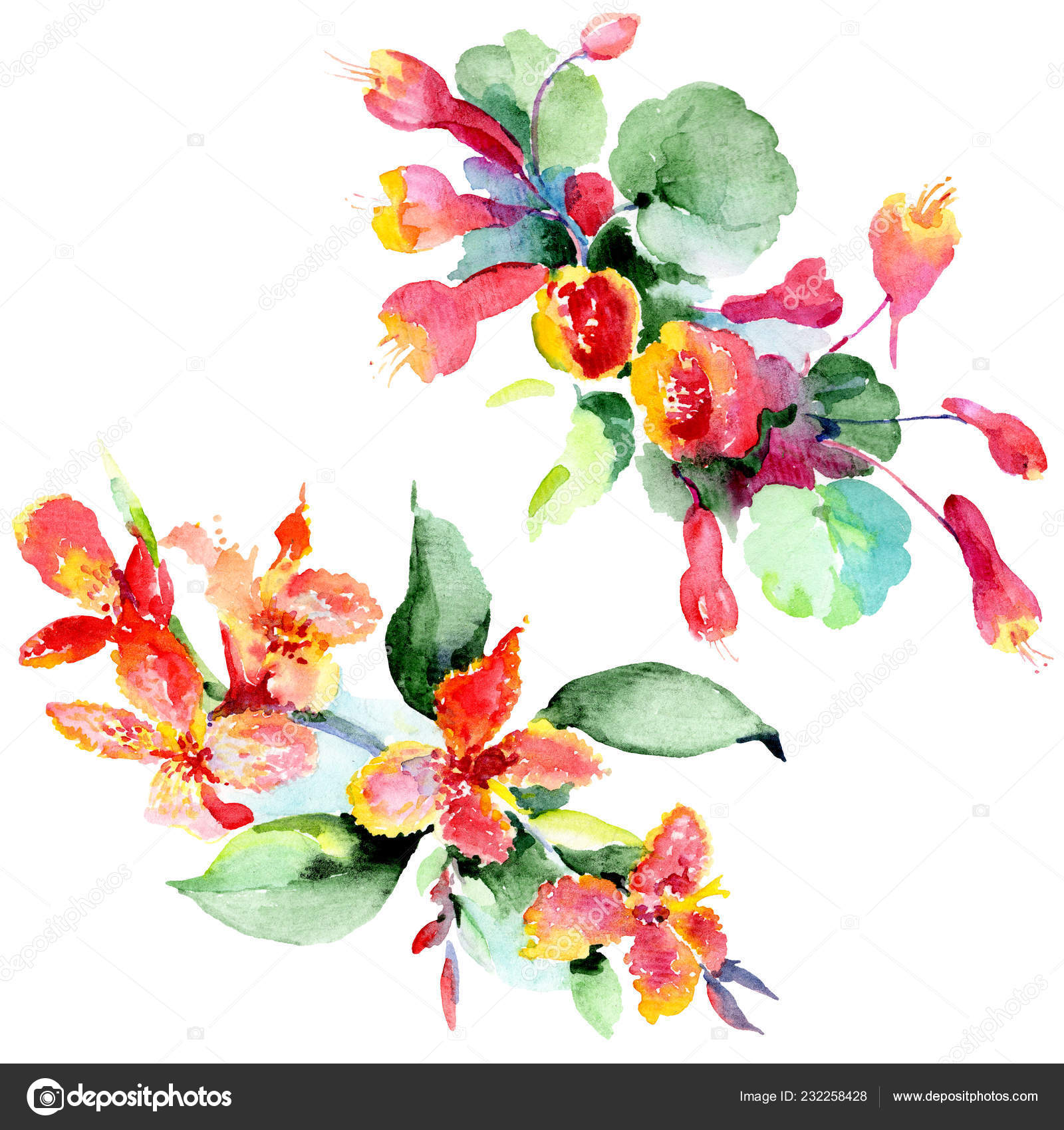 Bouquet Colorful Spring Flowers Watercolor Background Illustration Set  Watercolour Drawing Stock Photo by ©AndreYanush 232258428
