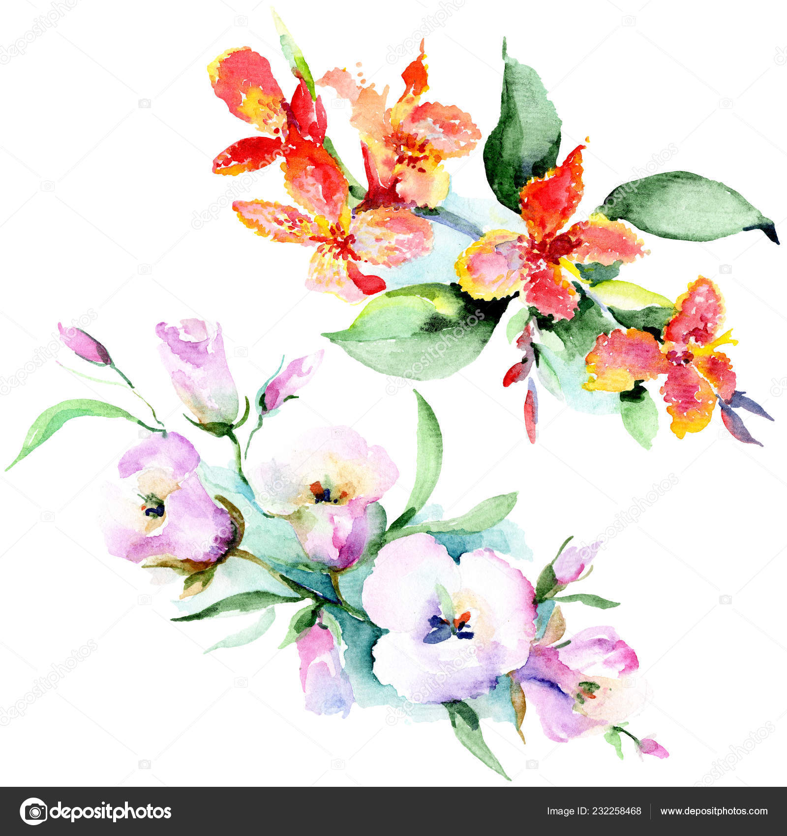 Bouquet Colorful Spring Flowers Watercolor Background Illustration Set  Watercolour Drawing Stock Photo by ©AndreYanush 232258468