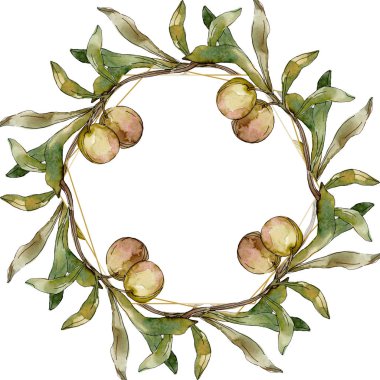 Çerçeve yeşil zeytin ve yaprak suluboya arka plan illüstrasyon ayarlanmış. Suluboya çizim moda aquarelle izole. 