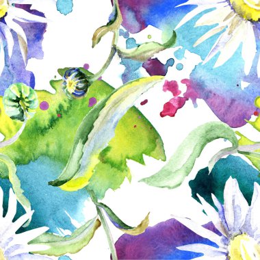 Papatya çiçekler arka plan. Suluboya arka plan illüstrasyon küme. Suluboya çizim aquarelle izole. Sorunsuz arka plan deseni. Kumaş duvar kağıdı yazdırma doku.