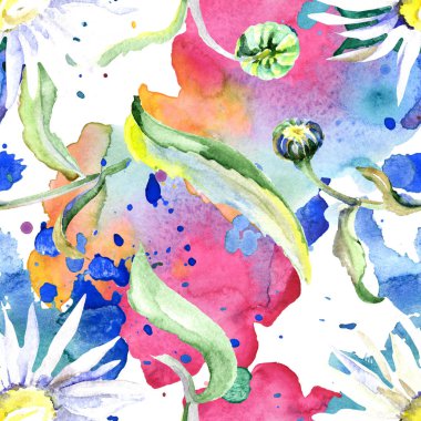 Papatya çiçekler arka plan. Suluboya arka plan illüstrasyon küme. Suluboya çizim aquarelle izole. Sorunsuz arka plan deseni. Kumaş duvar kağıdı yazdırma doku.