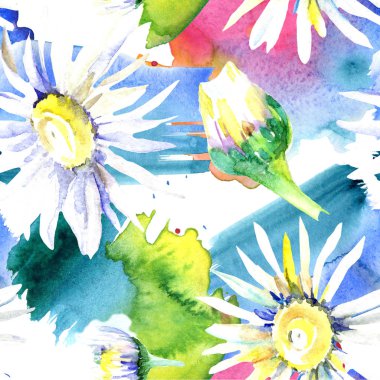 Papatya çiçekler arka plan. Suluboya arka plan illüstrasyon küme. Suluboya çizim aquarelle izole. Sorunsuz arka plan deseni. Kumaş duvar kağıdı yazdırma doku.