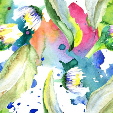 Papatya çiçekler arka plan. Suluboya arka plan illüstrasyon küme. Suluboya çizim aquarelle izole. Sorunsuz arka plan deseni. Kumaş duvar kağıdı yazdırma doku.