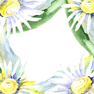 Papatya çiçek çerçeveli. Suluboya arka plan illüstrasyon küme. Suluboya çizim moda aquarelle izole.  