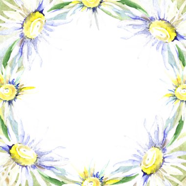 Papatya çiçek çerçeveli. Suluboya arka plan illüstrasyon küme. Suluboya çizim moda aquarelle izole.  