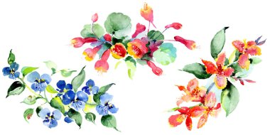 Renkli bahar buket. Suluboya arka plan illüstrasyon küme. Suluboya çizim moda aquarelle izole. İzole buket illüstrasyon öğesi.