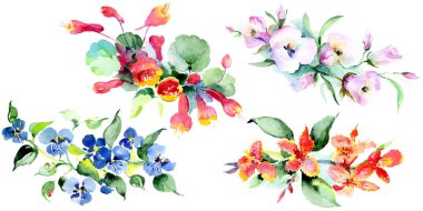 Renkli bahar buket. Suluboya arka plan illüstrasyon küme. Suluboya çizim moda aquarelle izole. İzole buket illüstrasyon öğesi.