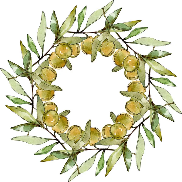 Rahmen Mit Grünen Oliven Und Blättern Aquarell Hintergrund Illustration Set — Stockfoto