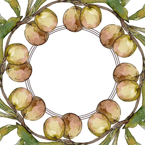 Cadre Avec Des Olives Vertes Feuilles Aquarelle Fond Illustration Ensemble — Photo