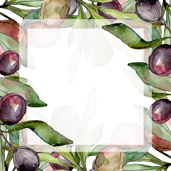 Frame with Black olives watercolor background. Watercolour drawing set.