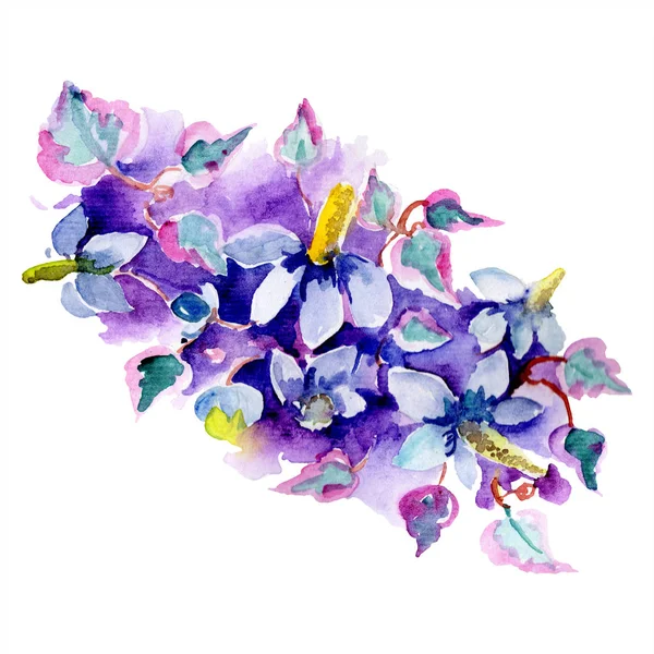 Bouquet Fleurs Violettes Ensemble Illustration Fond Aquarelle Aquarelle Dessin Mode — Photo