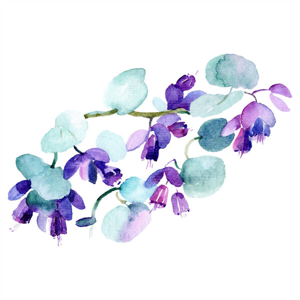 Bouquet of purple flowers. Watercolor background illustration set. Watercolour drawing fashion aquarelle isolated. Isolated bouquet illustration element.