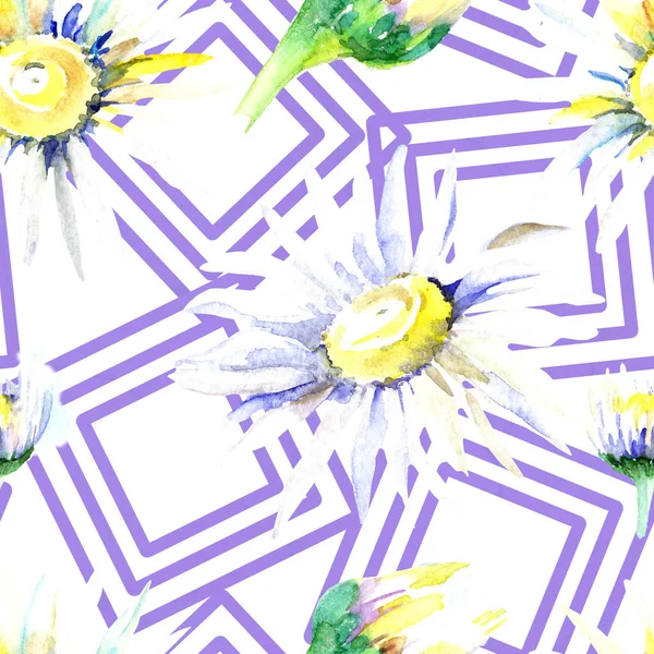 Daisy Fiori Sfondo Acquerello Sfondo Illustrazione Set Acquerello Disegno Acquerello — Foto Stock