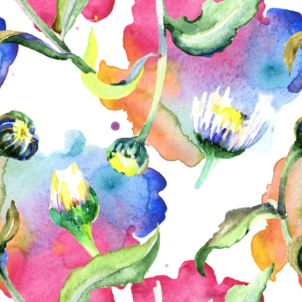 Daisy Flowers Background Watercolor Background Illustration Set Watercolour Drawing Aquarelle — Stock Photo, Image