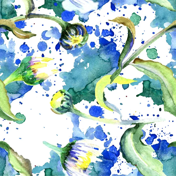 Gänseblümchen Blumen Hintergrund Aquarell Hintergrundillustration Set Aquarell Zeichnung Aquarell Isoliert — Stockfoto