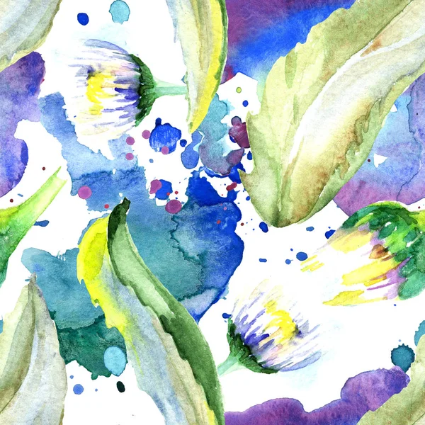 Daisy Květiny Pozadí Sada Akvarel Pozadí Obrázku Akvarel Samostatný Výkresu — Stock fotografie