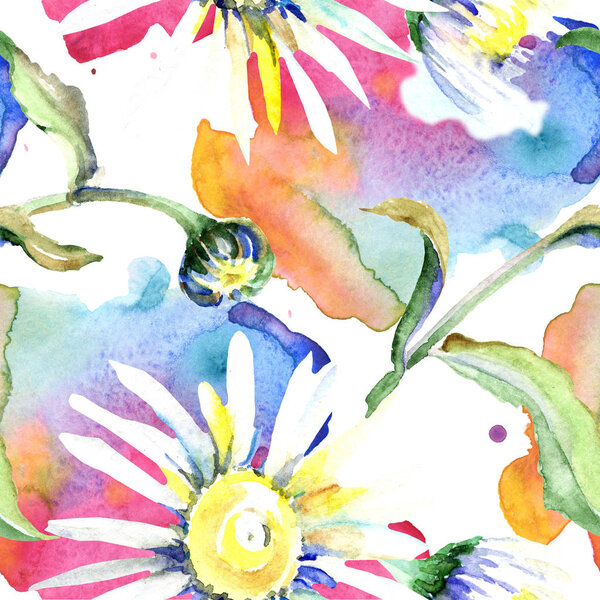 Daisy flowers background. Watercolor background illustration set. Watercolour drawing aquarelle isolated. Seamless background pattern. Fabric wallpaper print texture.