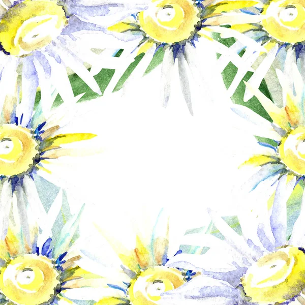 Frame with daisy flowers. Watercolor background illustration set. Watercolour drawing fashion aquarelle isolated.