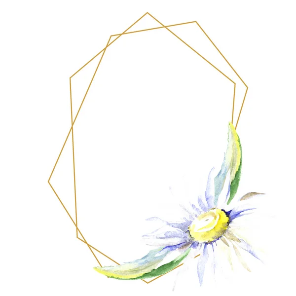 Cadre Avec Une Fleur Marguerite Ensemble Illustration Fond Aquarelle Aquarelle — Photo