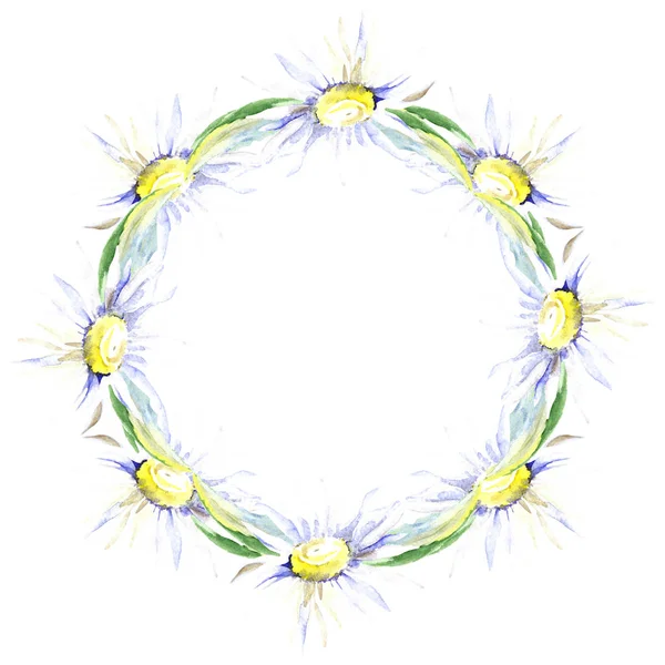 Rahmen Mit Gänseblümchenblumen Aquarell Hintergrundillustration Set Aquarell Zeichnung Mode Aquarell — Stockfoto